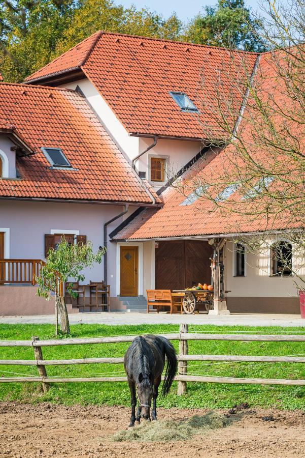 Apartment Zynga - Stud Farm Sentvid Pri Sticni 외부 사진